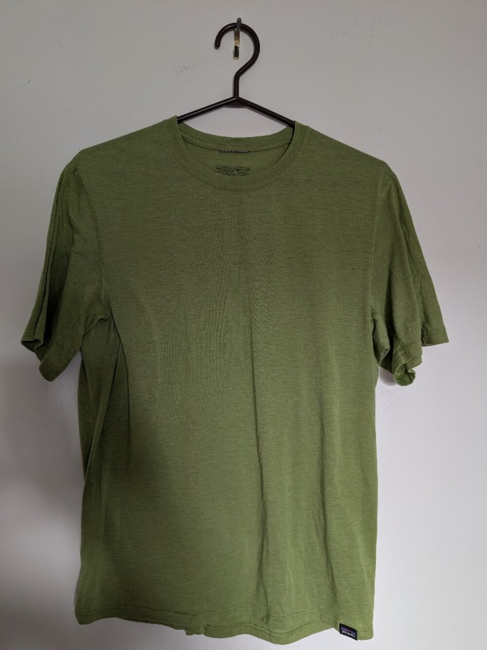 TWO Patagonia Capilene Shirts (EUC)